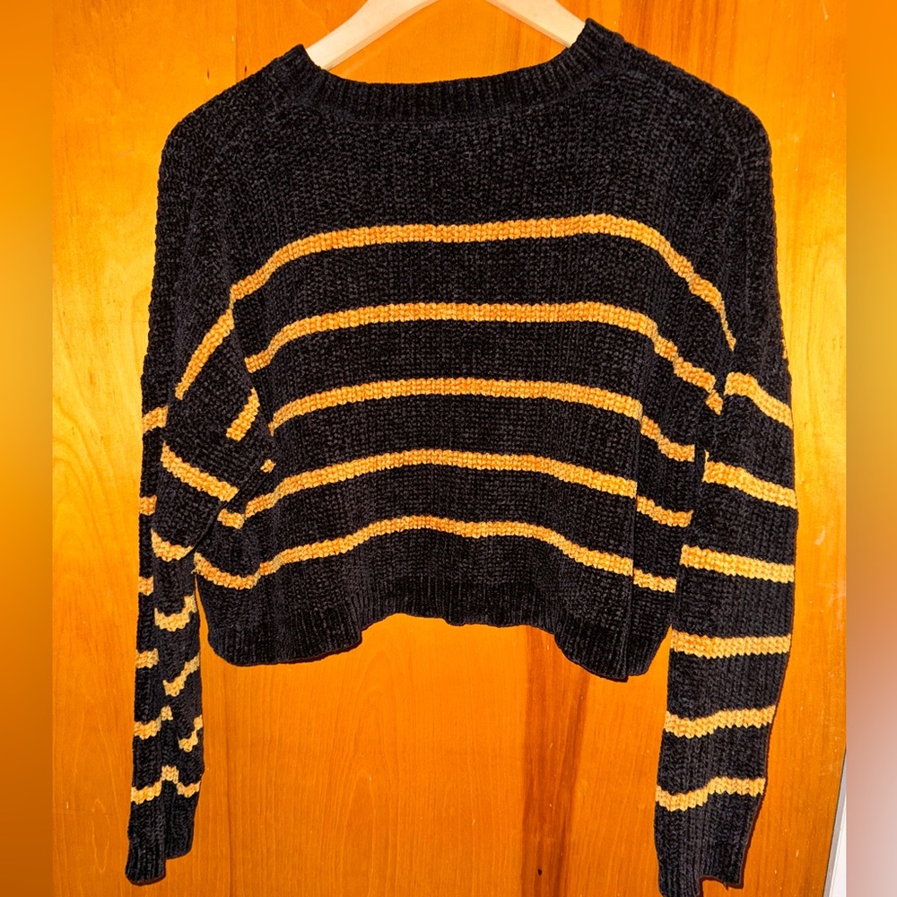F21 Bumble Bee Cropped Sweater 🐝